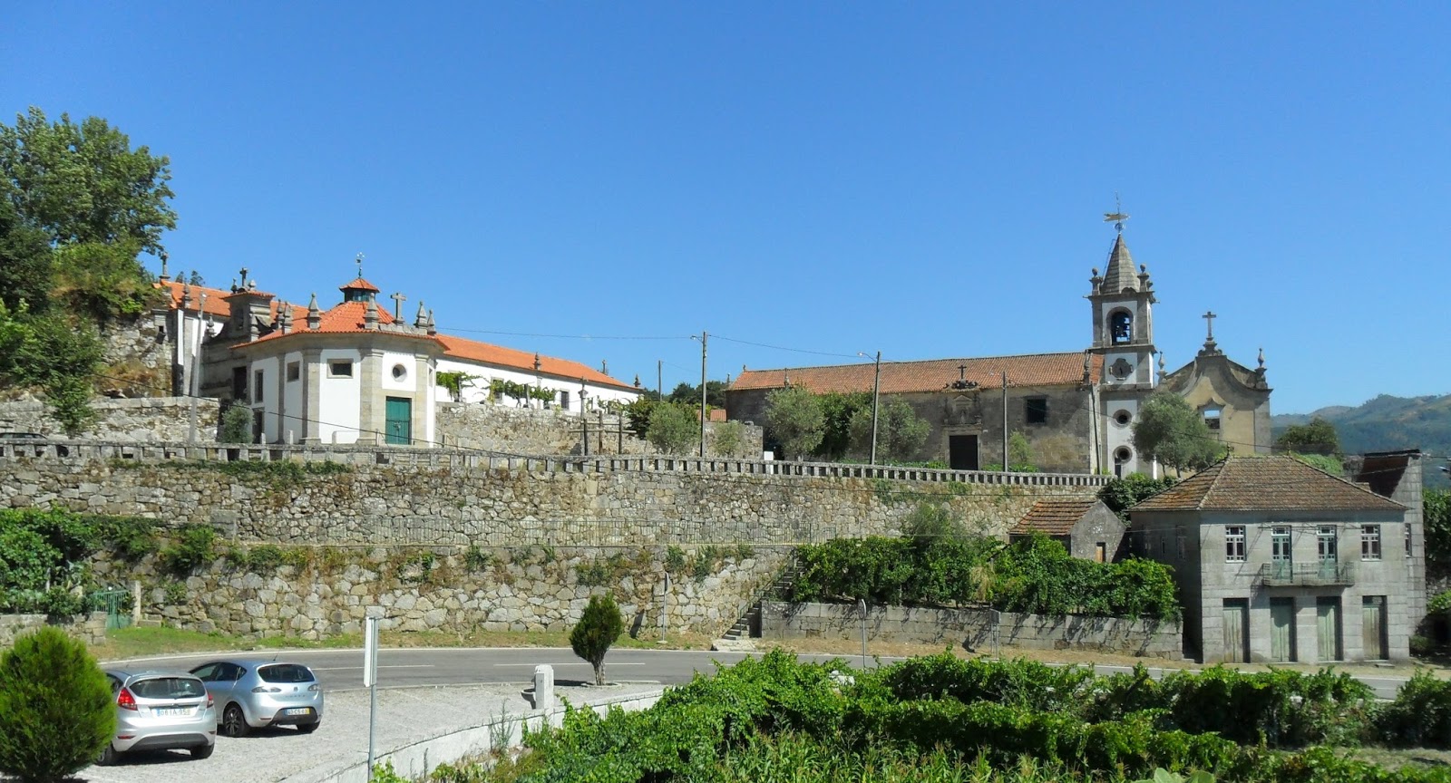 Permaculture tips Copy Copy